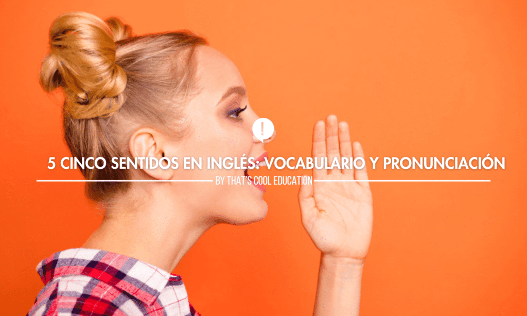 cinco sentidos ingles