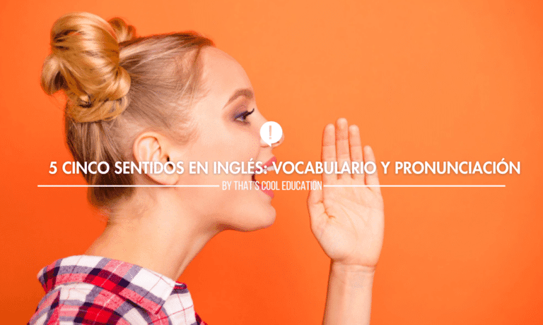 cinco sentidos ingles