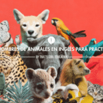 los animales en ingles