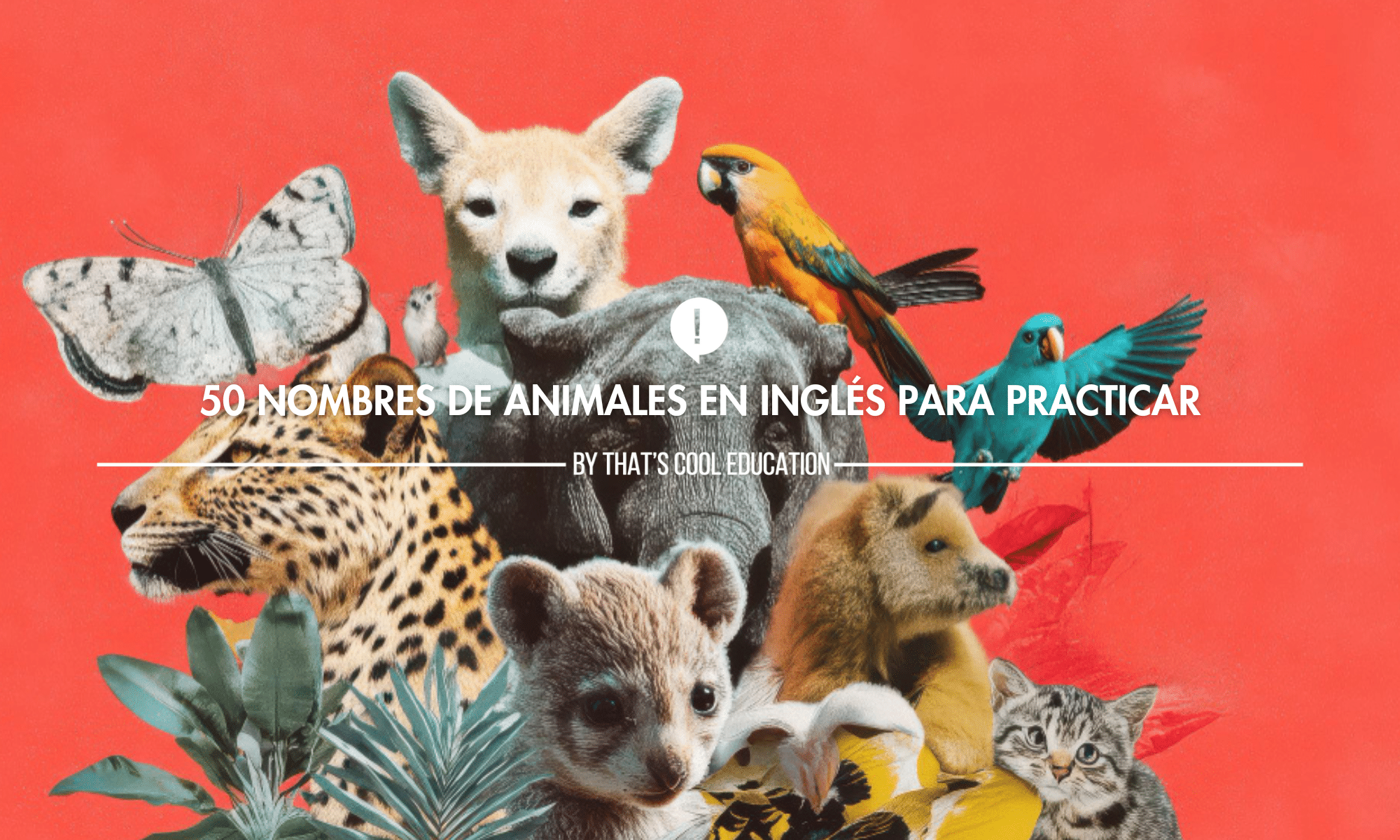 los animales en ingles